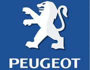 Peugeot  кузовные детали ,  оптики новое 