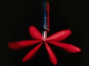 Форсунки,  мультипликатор Delphi - Renault Kangoo,   Dacia 1.5 dCI